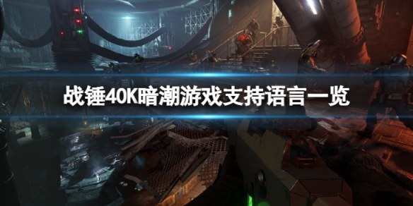 《战锤40K暗潮》有中文吗？游戏支持语言一览图片1
