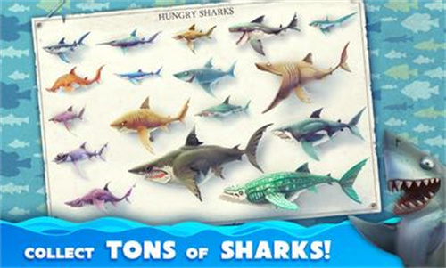 饥饿鲨世界国际服游戏图片3