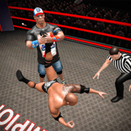 摔跤战斗进化3D最新版
