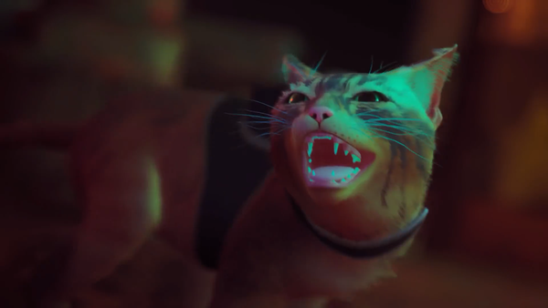 猫咪冒险游戏《迷失》公布PS5实体版宣传片图片3