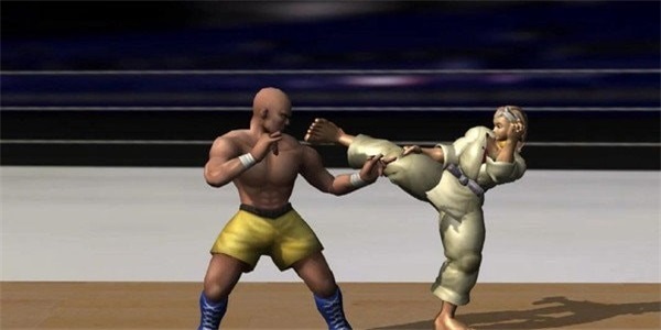 空手道拳击冠军游戏手机版图片3
