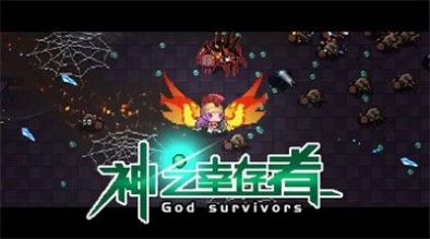 神之幸存者游戏安卓图3