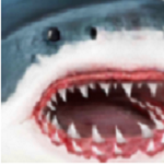 鲨鱼模拟器手机版全部鲨鱼解锁版