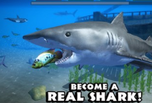 鲨鱼模拟器手机版全部鲨鱼解锁版图片4