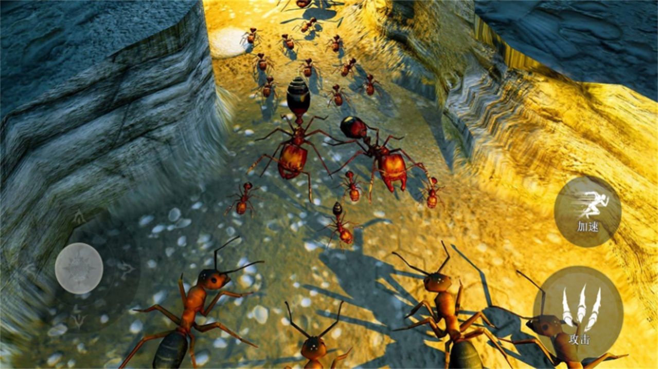 昆虫捣蛋模拟器中文版游戏图4