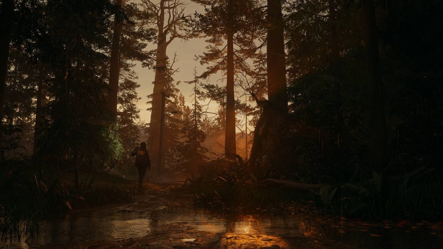 《心灵杀手2》将放慢游戏节奏战斗元素将少于第一部图片2