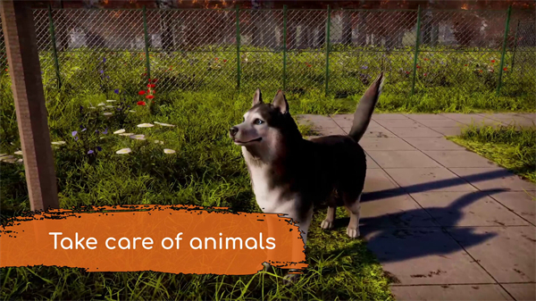 动物救助模拟游戏《动物收容所2》将于24年登陆Steam图片2