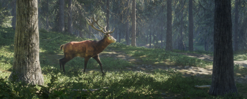 《猎人：荒野的呼唤》赫希费尔登动物有什么特点图片1