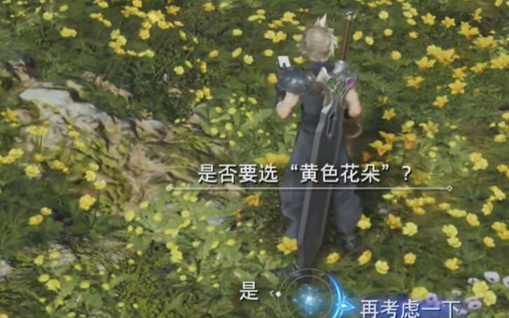 最终幻想7重生山丘上绽放的花任务攻略图片4