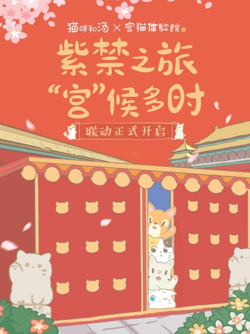猫咪和汤×宫猫体验馆奉旨撸猫主题店上线