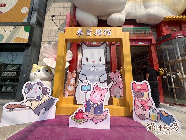 猫咪和汤×宫猫体验馆奉旨撸猫主题店上线图片2