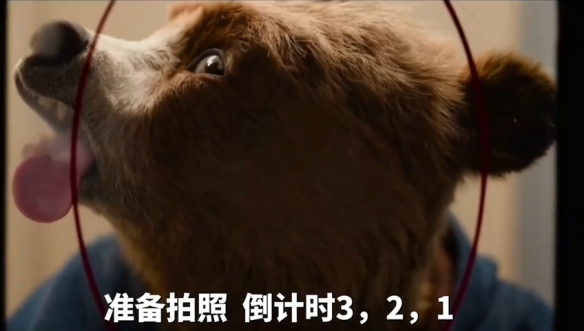 人气电影《帕丁顿熊在秘鲁》正式公开预告定档11月上映图片3